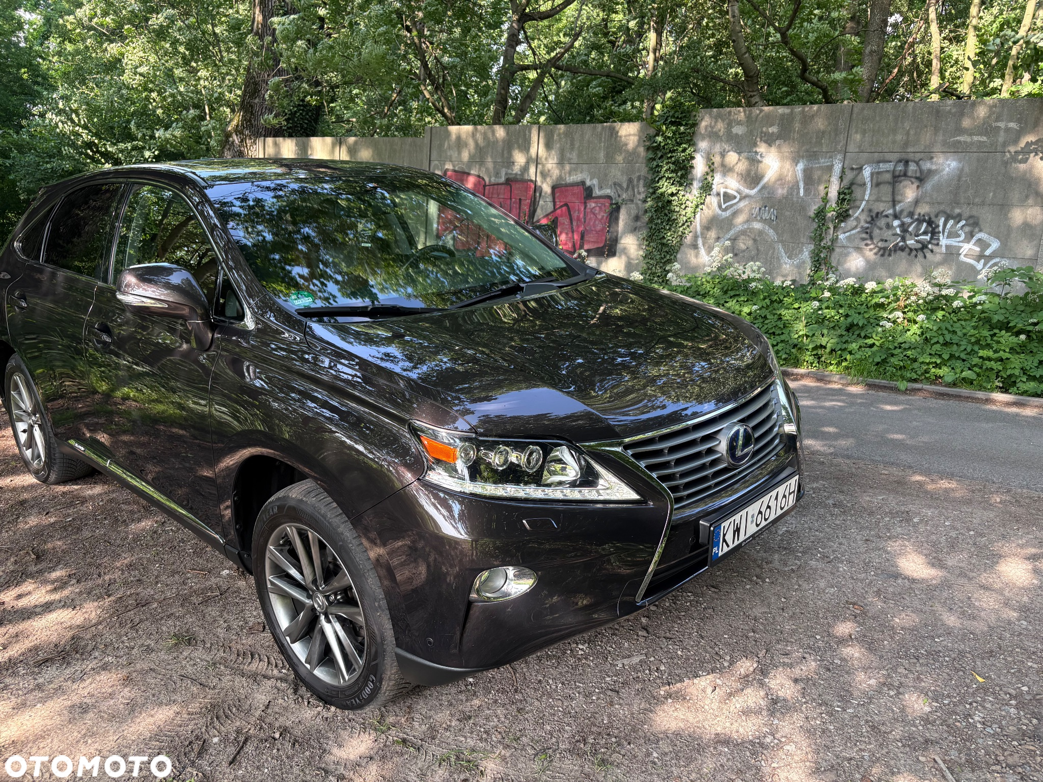 Lexus RX - 9