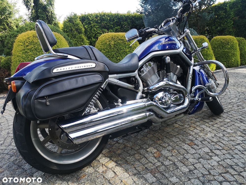Harley-Davidson V-Rod Street Rod - 4