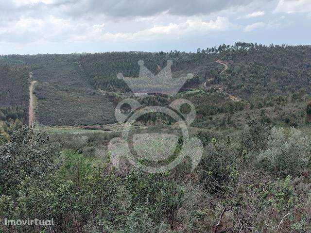 Terreno Rústico para venda - Grande imagem: 2/10