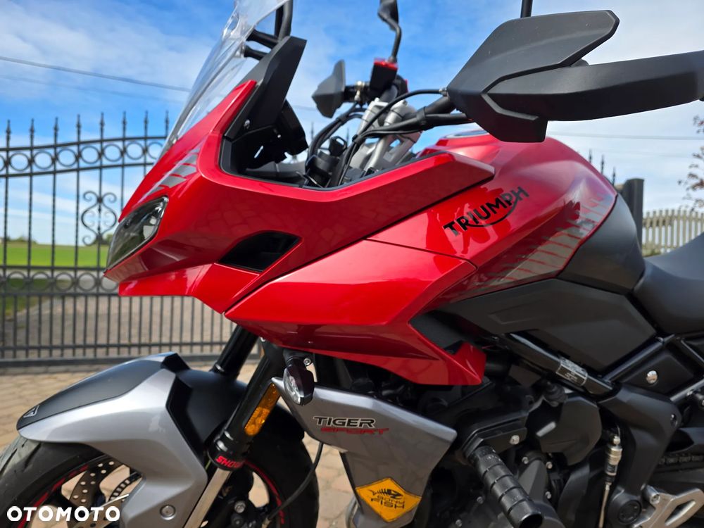 Triumph Tiger - 13