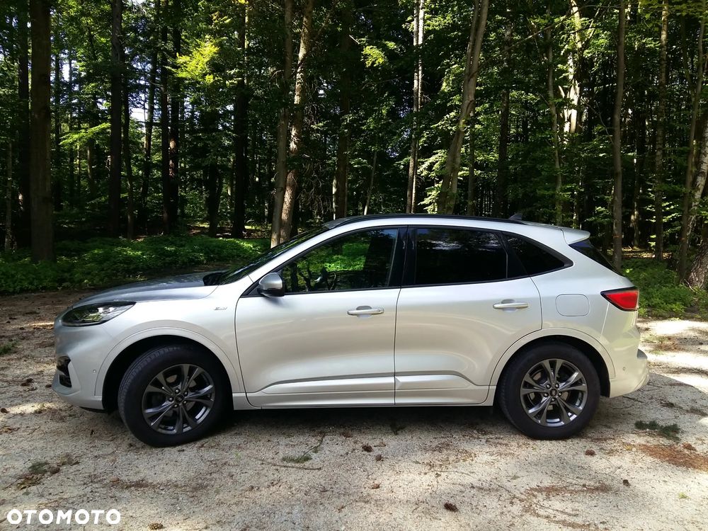 Ford Kuga 2.0 EcoBlue AWD ST-Line X - 2