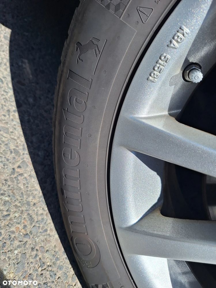 Ford Focus 1.5 EcoBlue Start-Stopp-System TITANIUM VIGNALE - 19