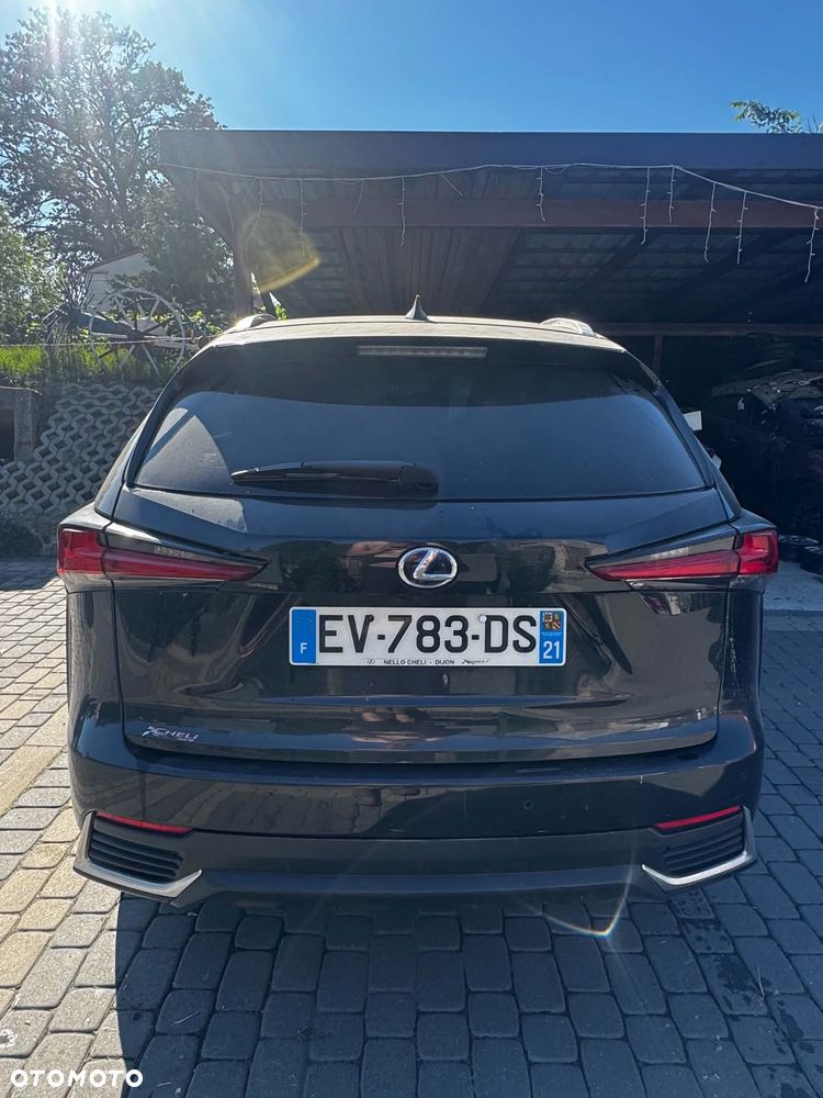 Lexus NX 300h - 1