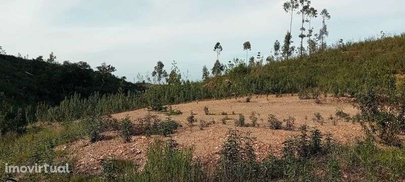 Terreno rustico onde o Algarve toca o Alentejo! - Grande imagem: 2/5