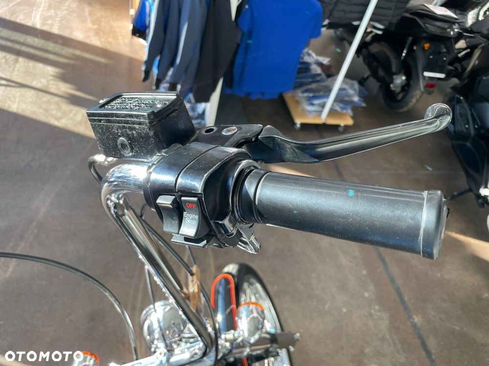 Harley-Davidson Softail - 16