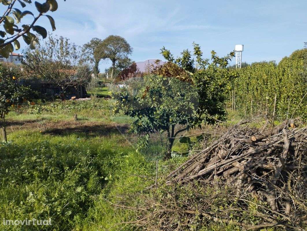 Terreno  para venda - Grande imagem: 4/6