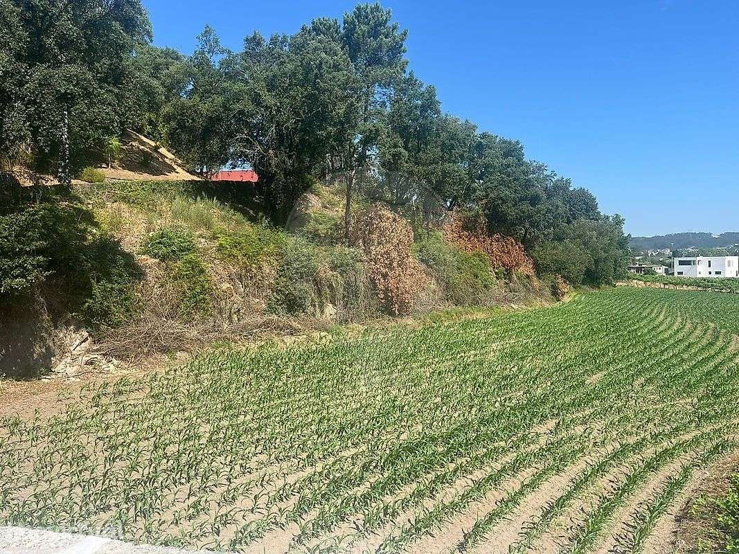 Terreno  para arrendamento - Grande imagem: 3/4