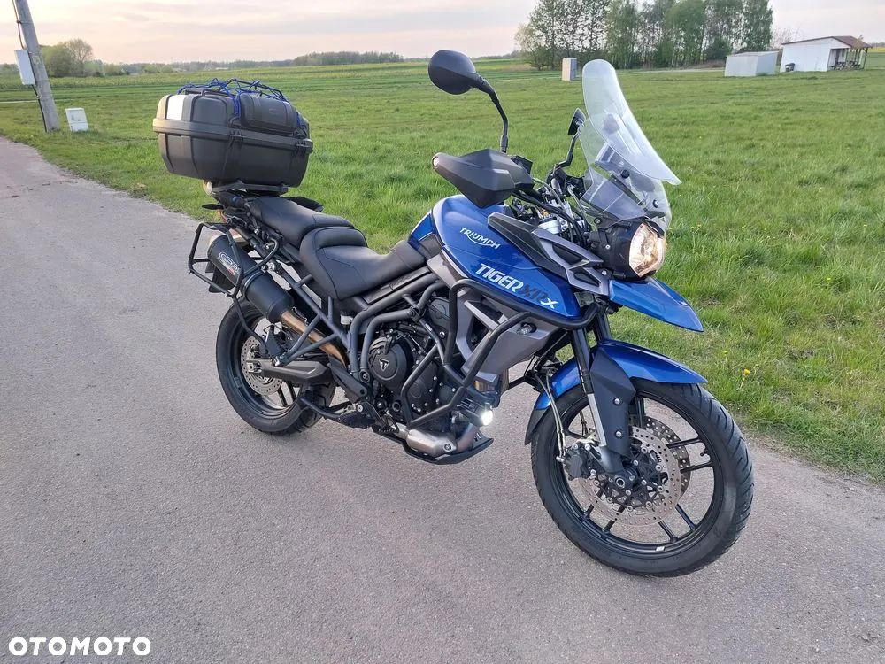 Triumph Tiger - 1