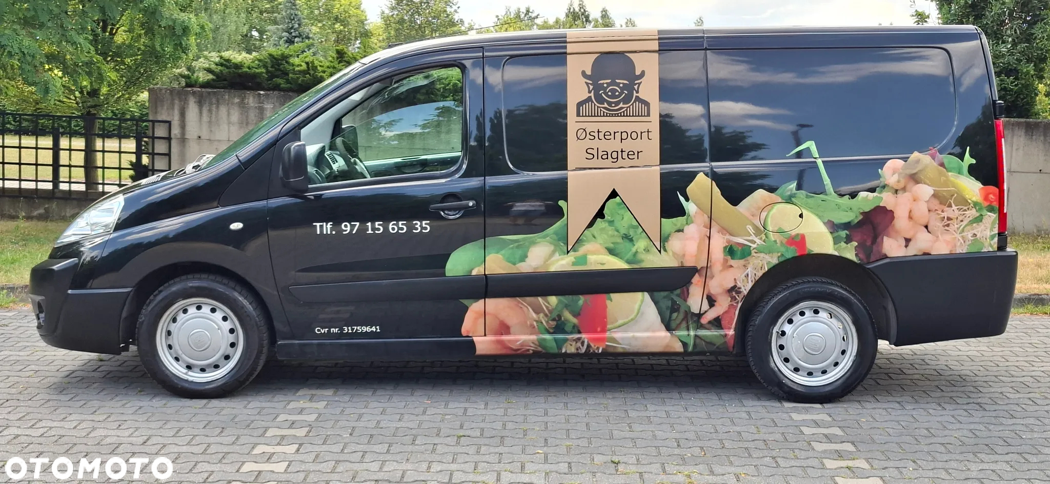 Fiat Scudo - 11