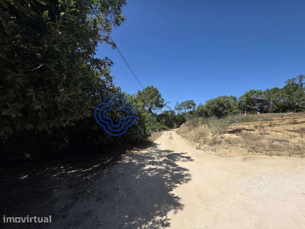 Terreno Rústico em Usseira, Óbidos - Grande imagem: 4/32