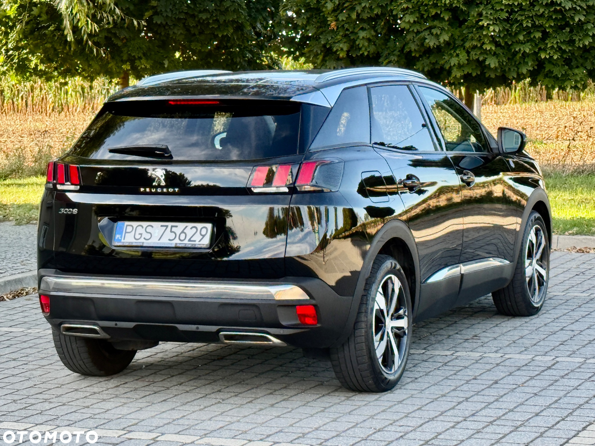 Peugeot 3008 1.5 BlueHDi Crossway S&S - 10