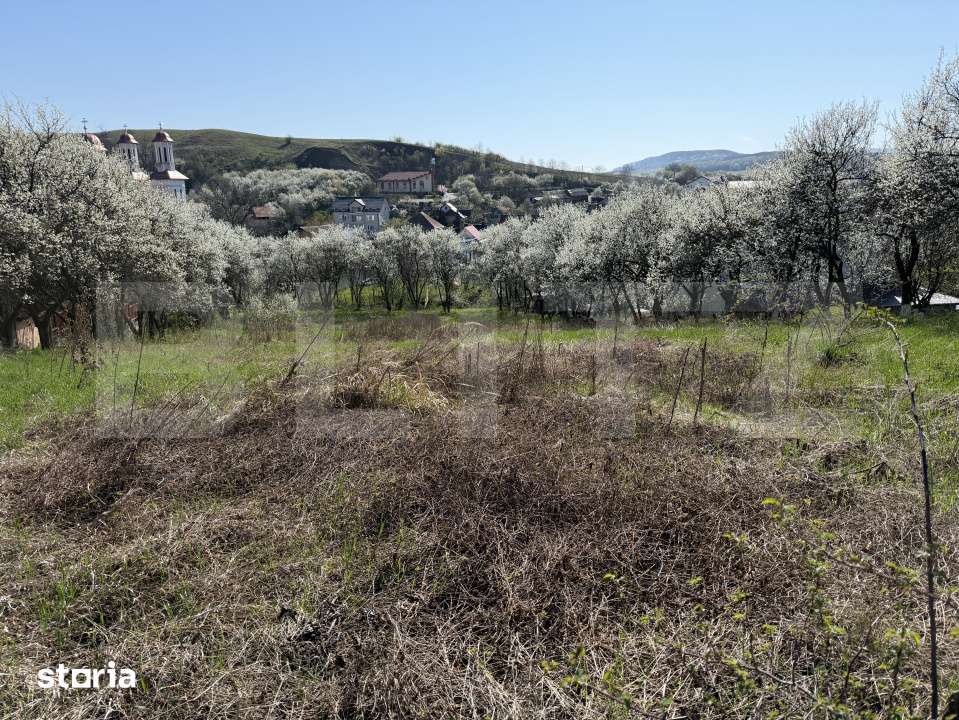 Teren intravilan in localitatea Criseni in suprafata de 2700 mp - Imagine principală: 4/4