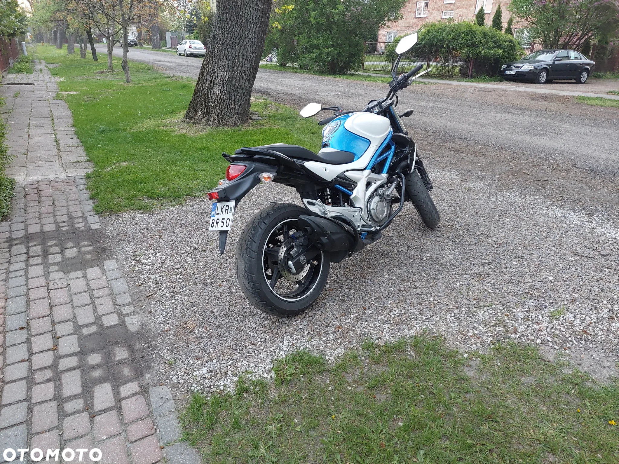 Suzuki Gladius - 14