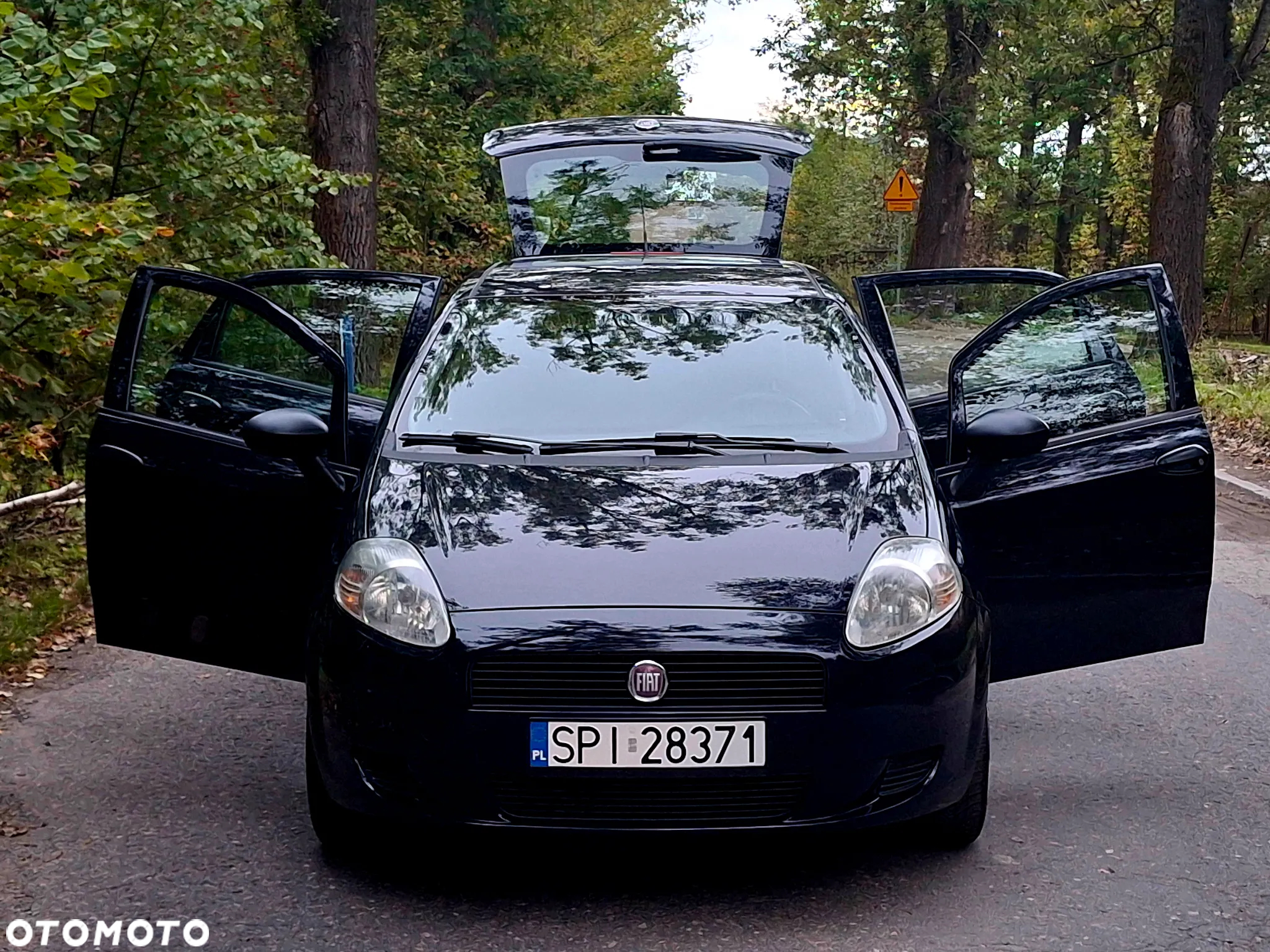 Fiat Grande Punto Actual 1.2 8V Estiva - 19