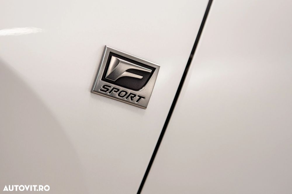 Lexus TX500 H - 29