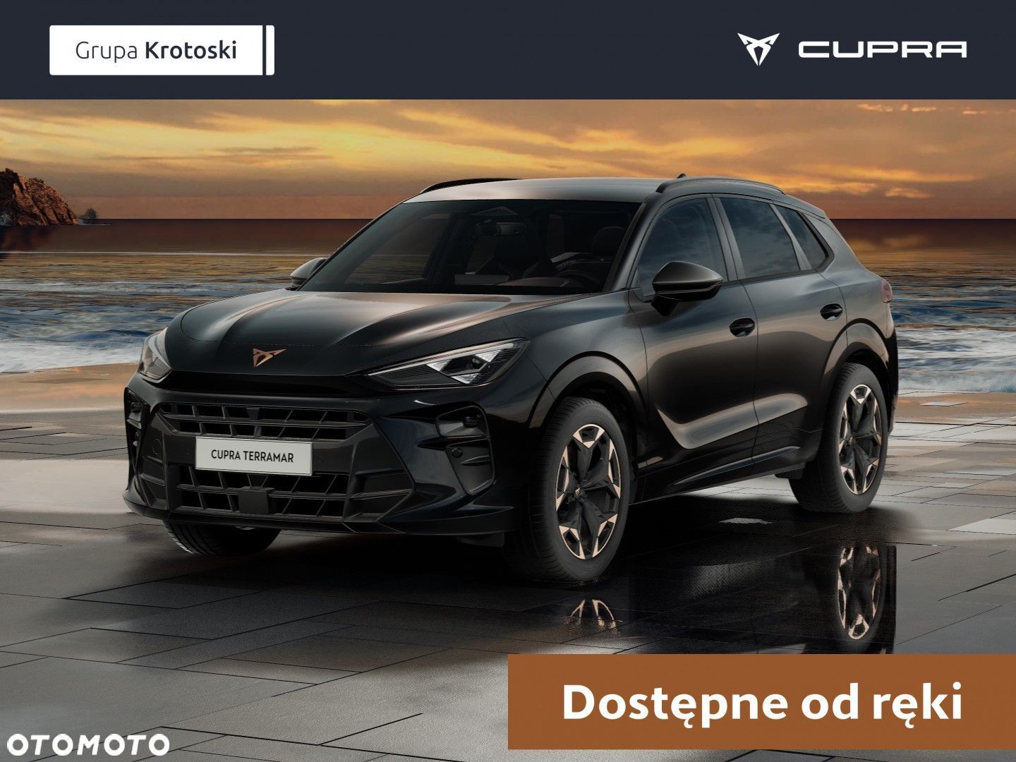 Cupra Terramar - 1