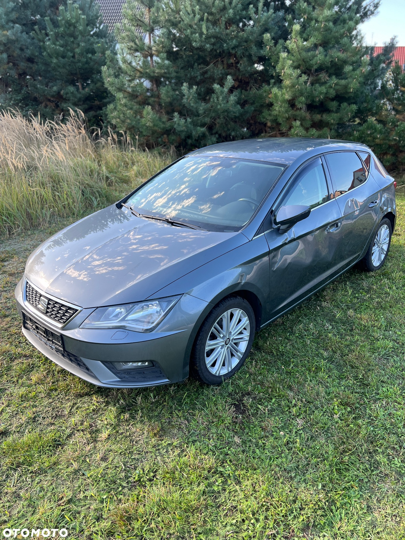 Seat Leon 2.0 TDI DSG Xcellence Plus - 6