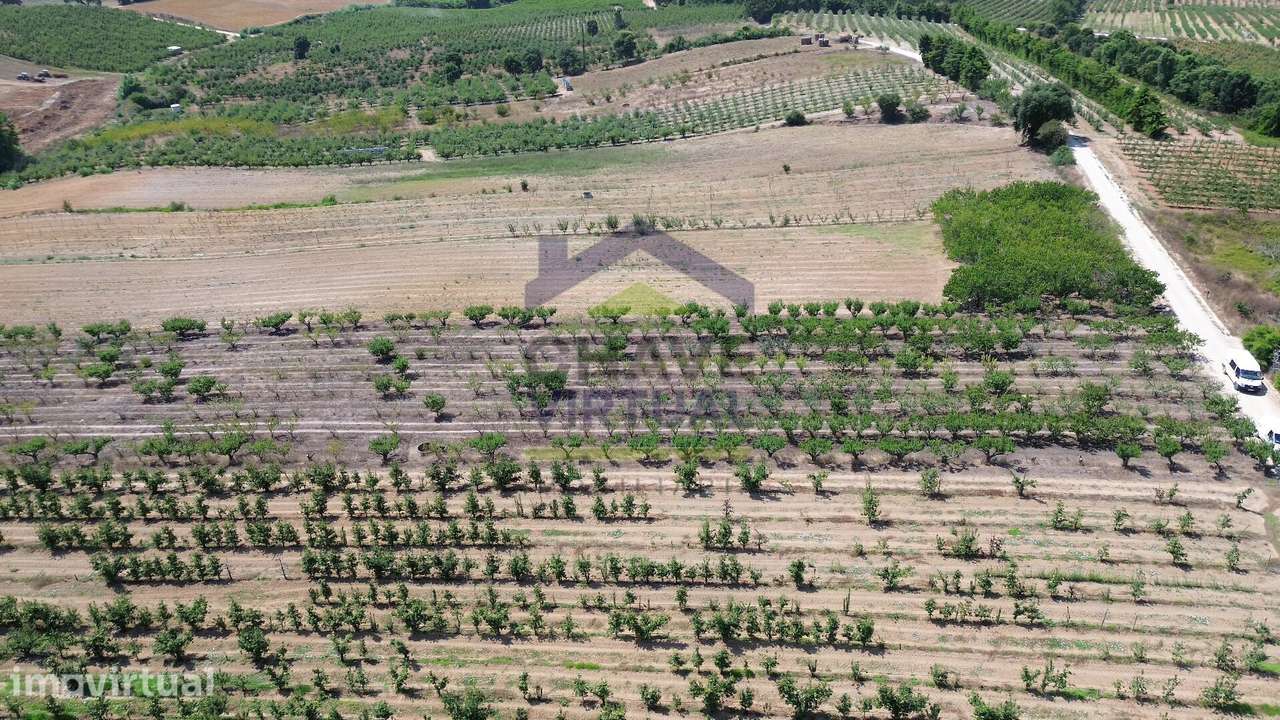 Terreno Rústico com 7.280 m2 - Carvalhal, Bombarral - Grande imagem: 4/9