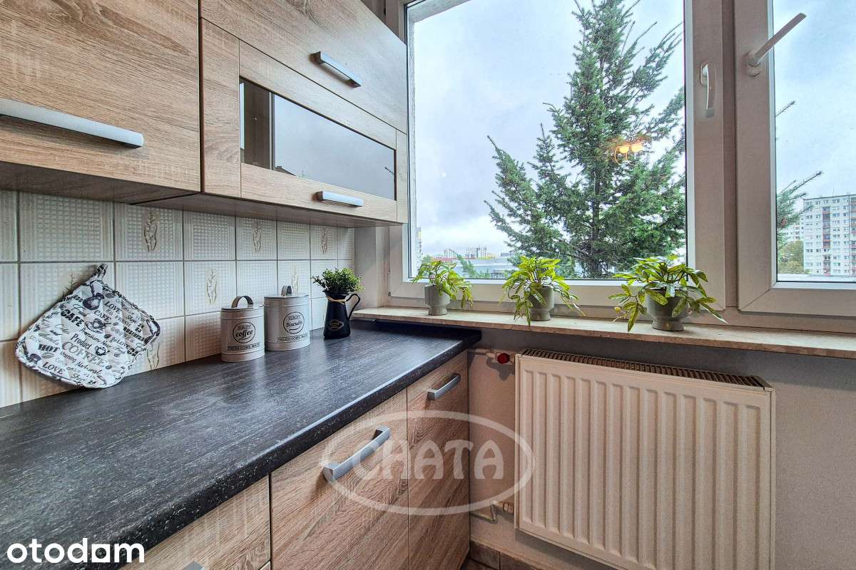 Strzegomska/Balkon/Rozkład/Winda/Media Miejskie