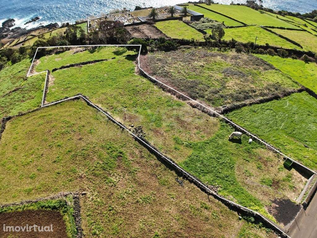 Terreno com vista mar para Construção nas Ribeiras, Lajes do Pico - Grande imagem: 5/10