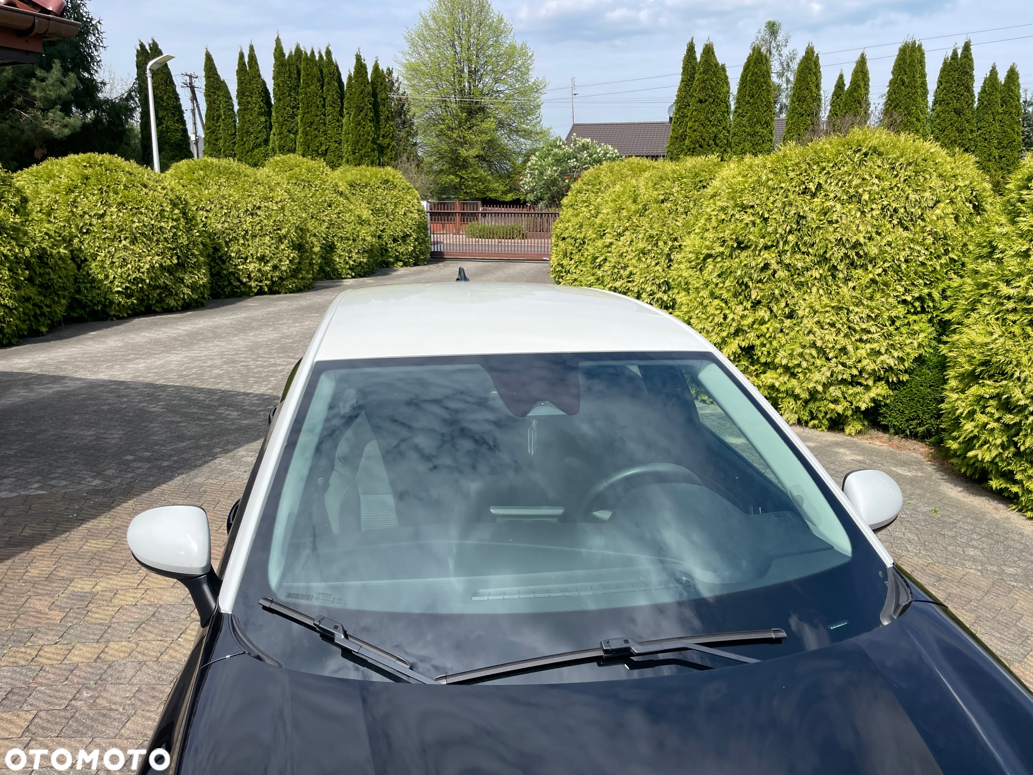 Renault Captur BLUE dCi 115 BUSINESS EDITION - 14