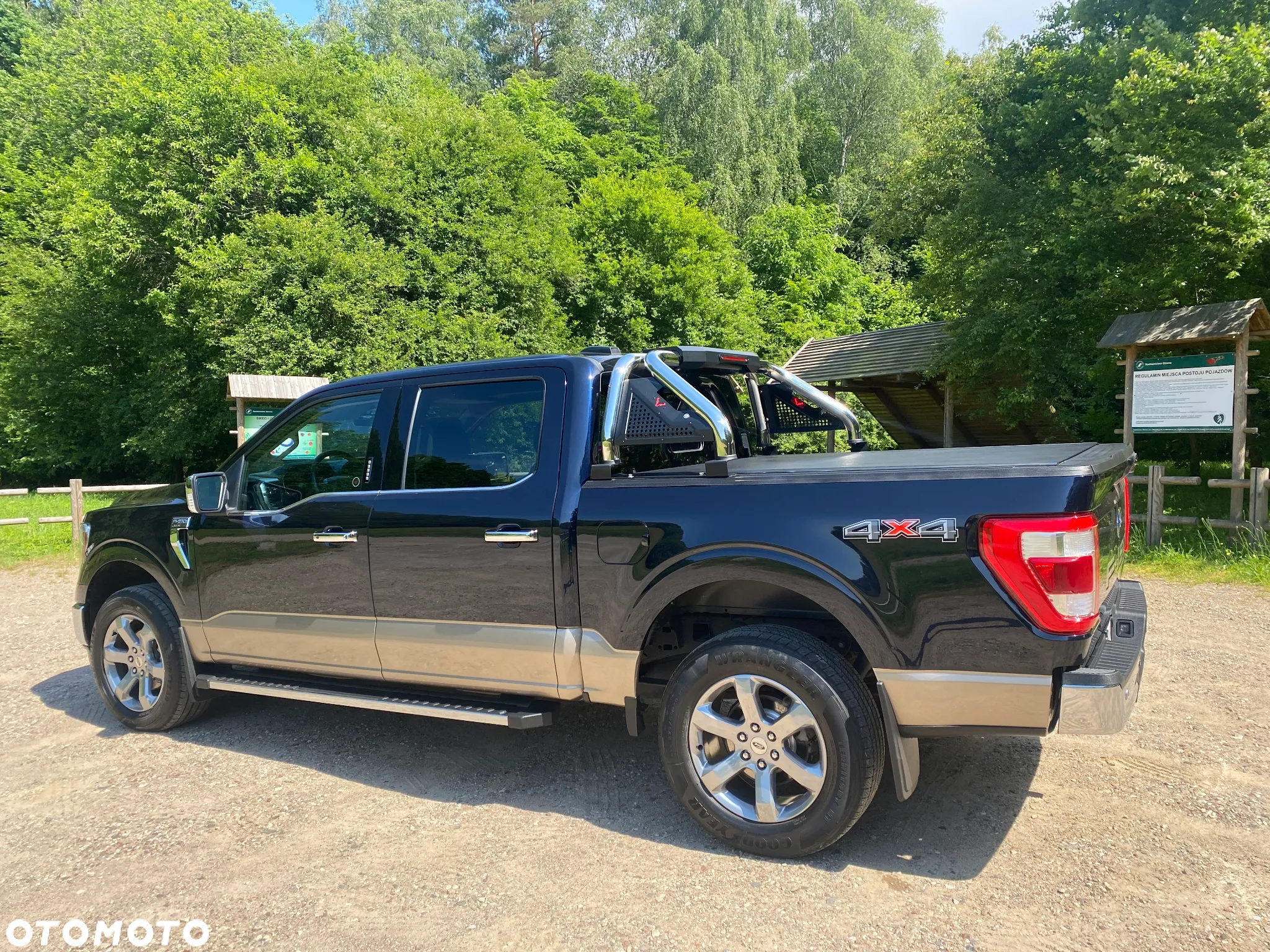 Ford F150 - 7