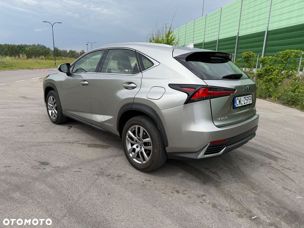 Lexus NX - 5