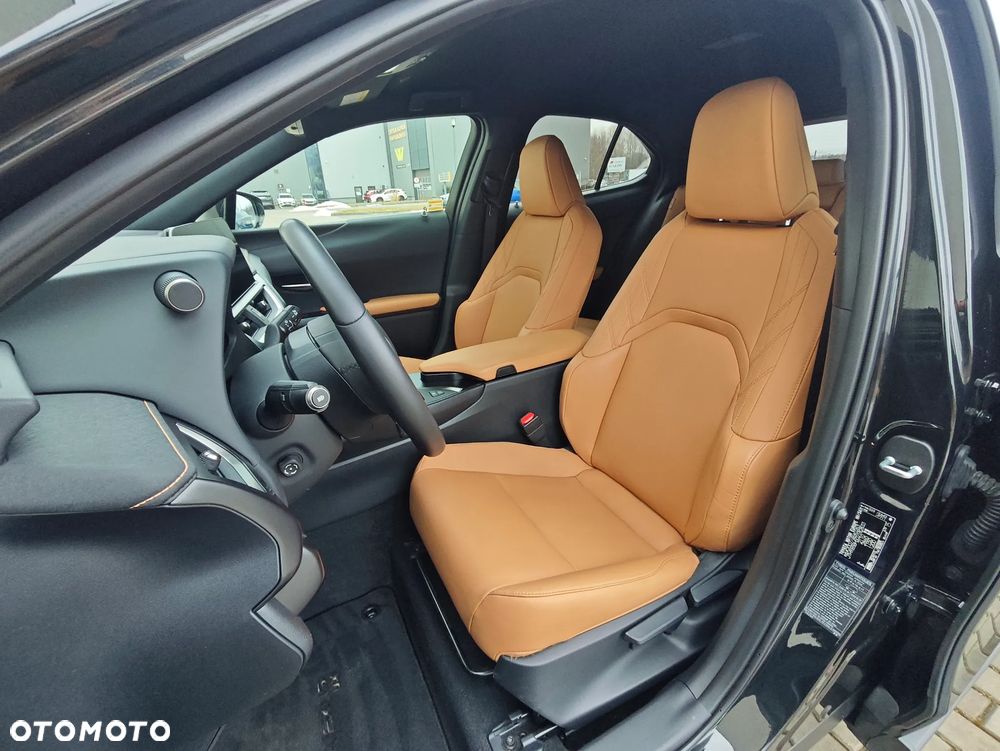 Lexus UX 250h GPF F Sport Design+ 2WD - 12