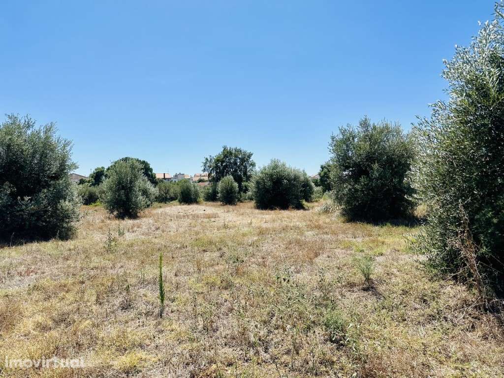 Terreno - Grande imagem: 2/7