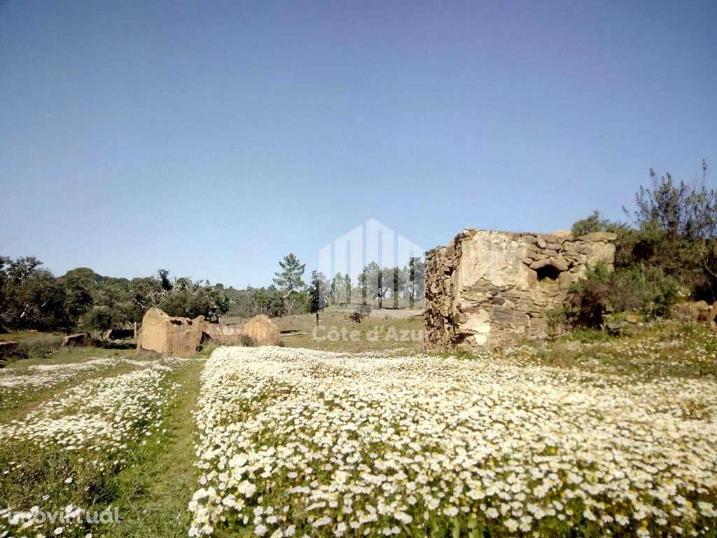 Propriedade no Alentejo - Grande imagem: 4/16