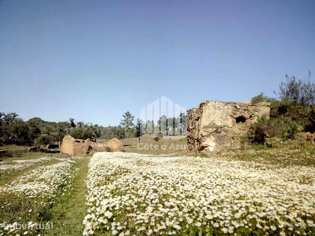 Propriedade no Alentejo - Grande imagem: 4/16