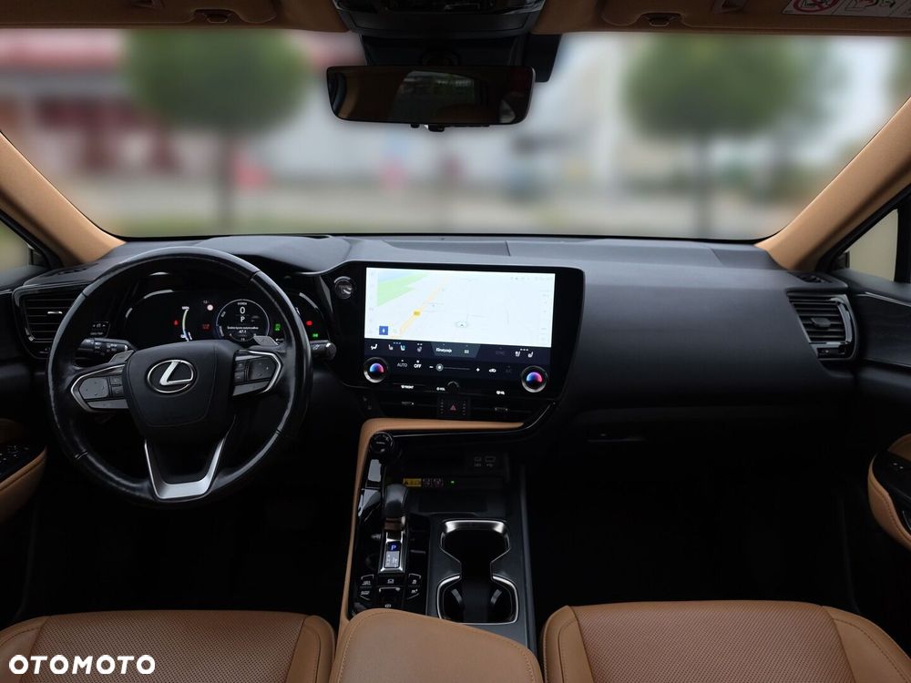 Lexus NX - 13