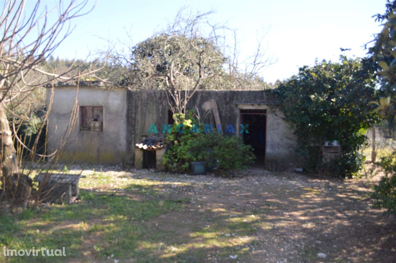 ANG747 - Terreno de 17200m2 para Venda em Figueiró dos Vinhos, Leiria - Grande imagem: 2/47