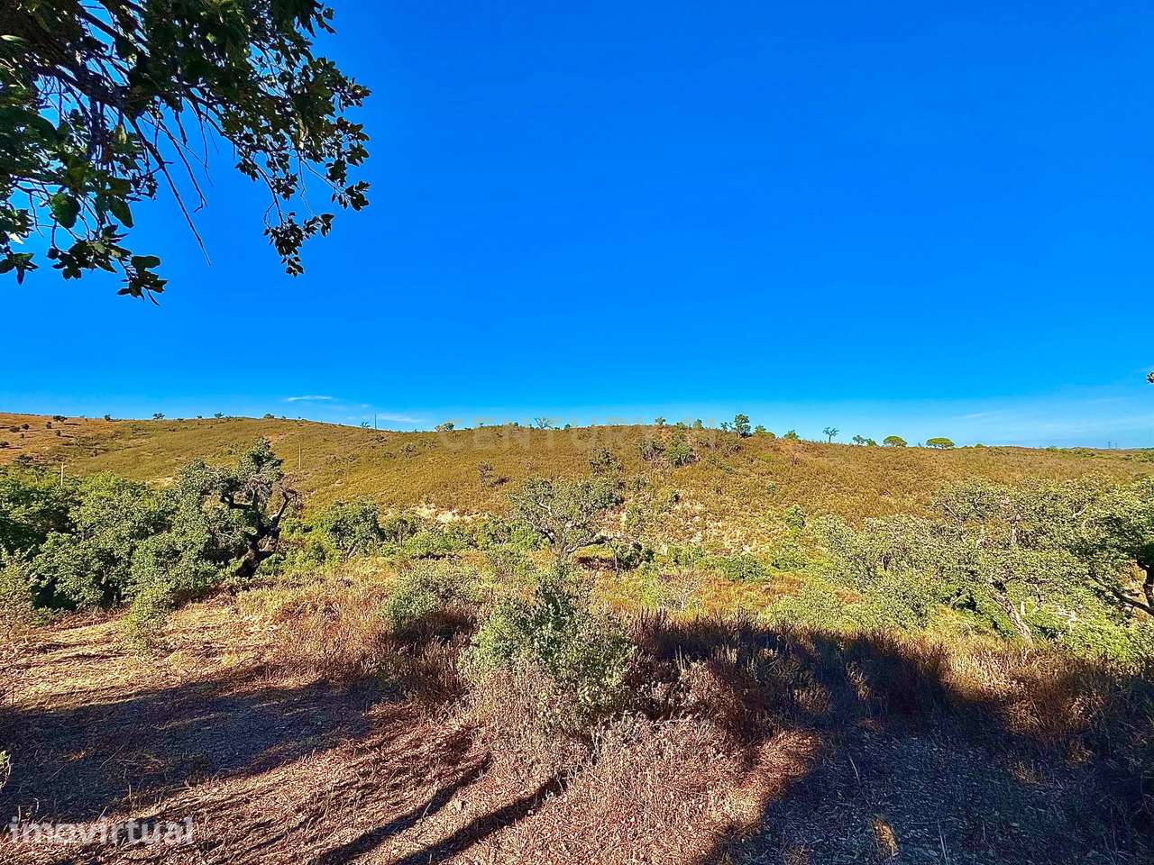 Terreno Rústico em Garcia – São Brás de Alportel | 1.830 m² | Vista Se - Grande imagem: 4/6