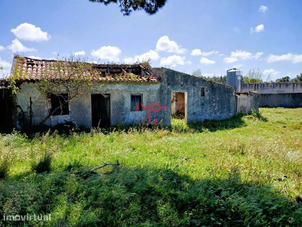 Moradia T3 para Recuperar na Serra do Bouro Terreno de 4.641 m² com... - Grande imagem: 2/39