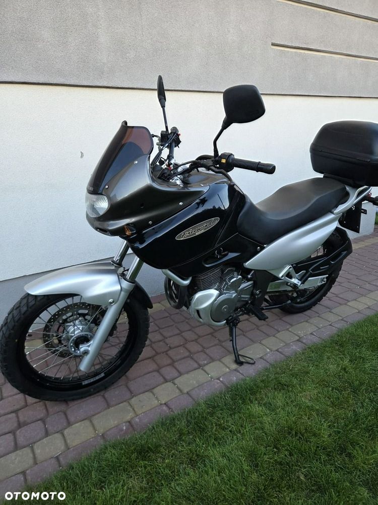 Suzuki XF - 7