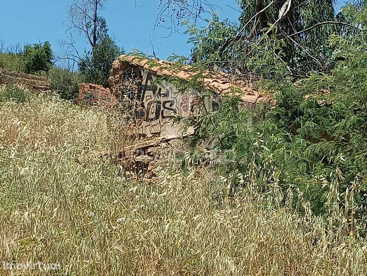 Terreno com Ruina Tojeiro - Grande imagem: 2/5