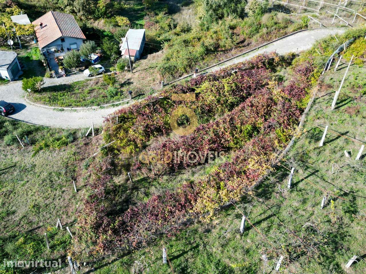 Terreno Para Construção  Venda em Santa Maria de Sardoura,Castelo de P - Grande imagem: 4/11