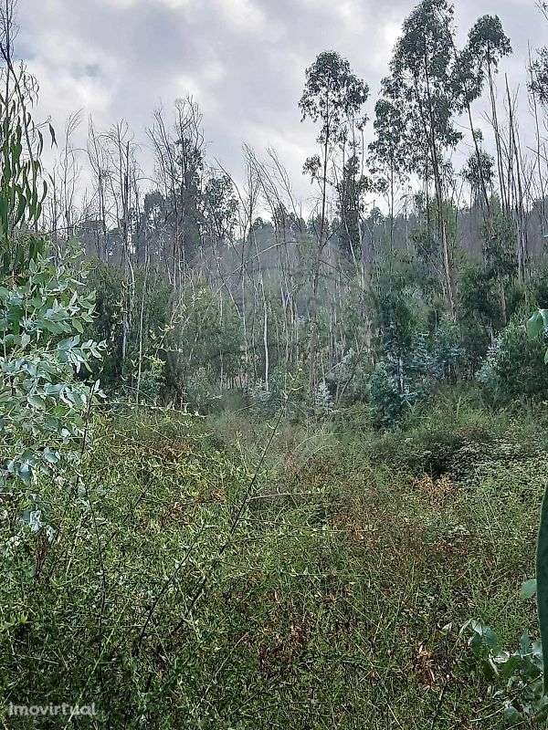 Terreno  para venda - Grande imagem: 2/3