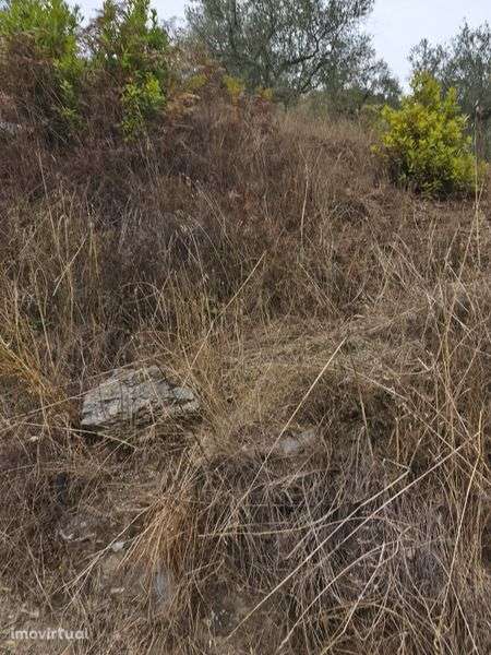 Vendo um terreno rústico em mós de Moncorvo - Grande imagem: 4/8