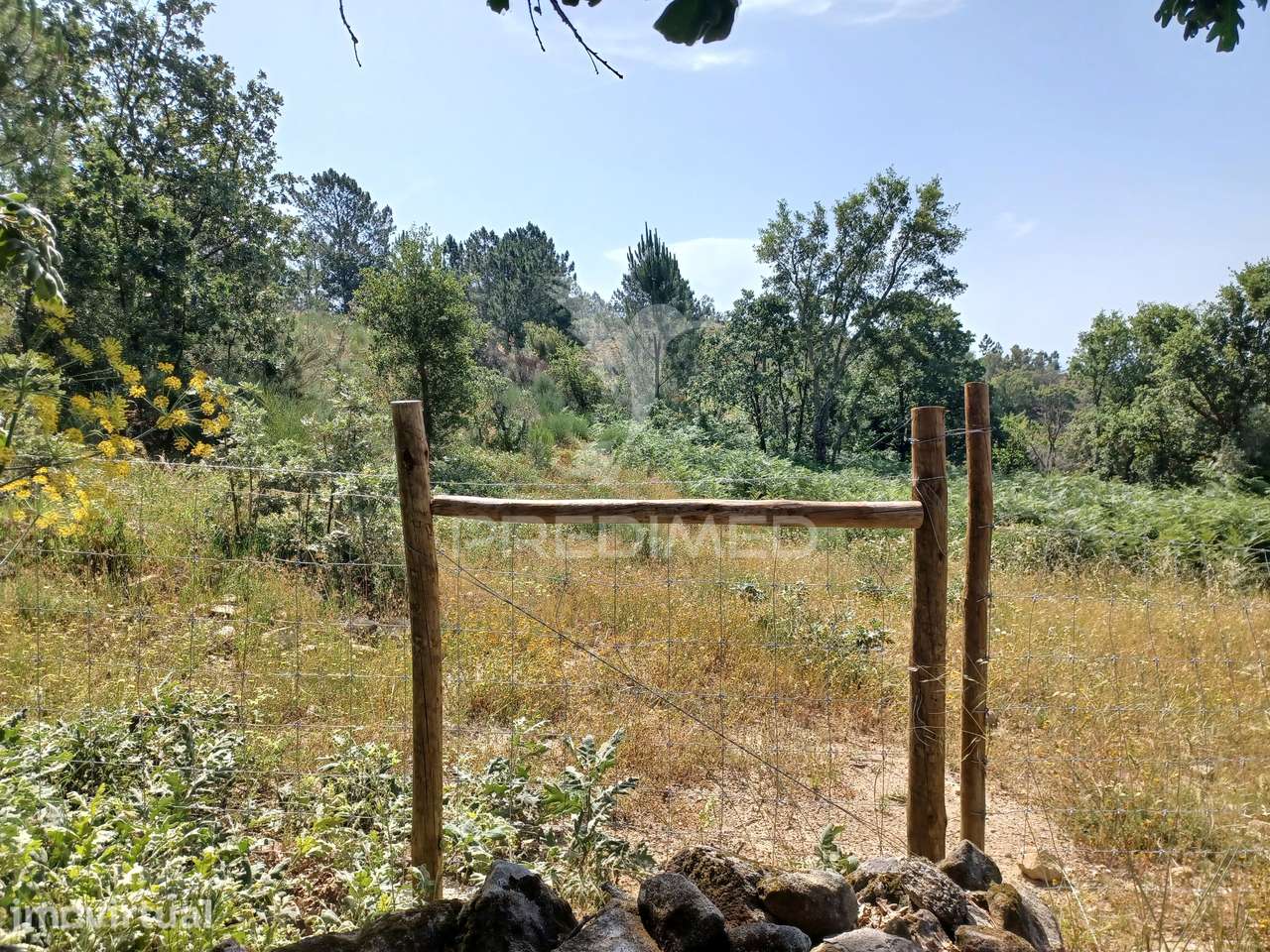 TERRENO RÚSTICO 4,983 HA - Portalegre - Grande imagem: 4/7