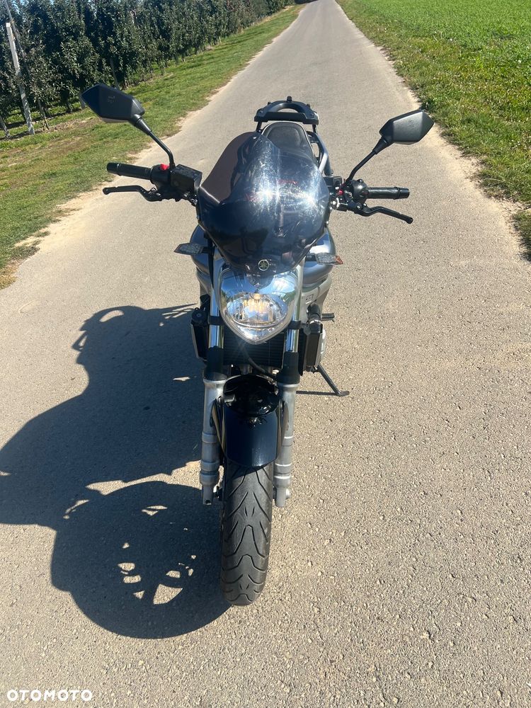 Yamaha FZ6 - 19