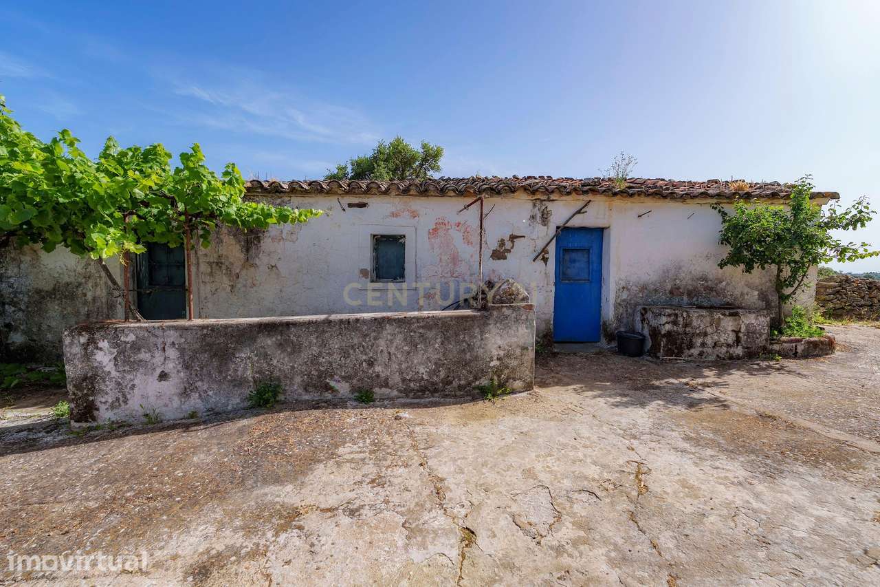 A Casa da Serra | São Brás de Alportel, Cerro da Ursa | 3,81ha de Terr - Grande imagem: 2/22