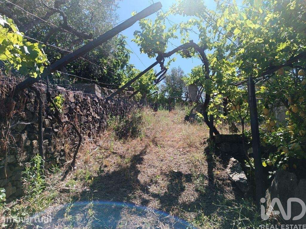 Terreno Agrícola em Poiares de 1900,00 m2 - Grande imagem: 2/28