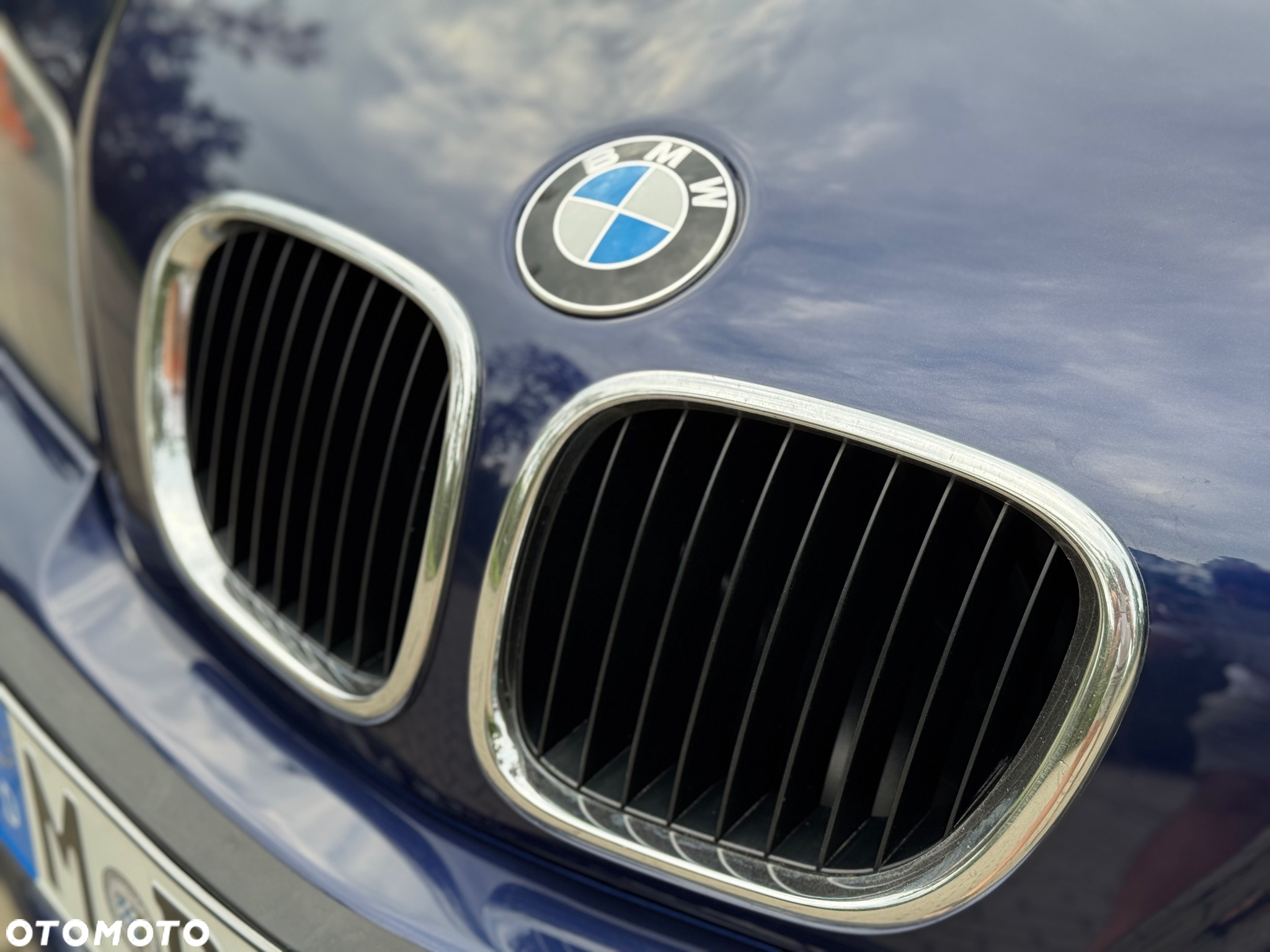 BMW Z3 2.8 - 11