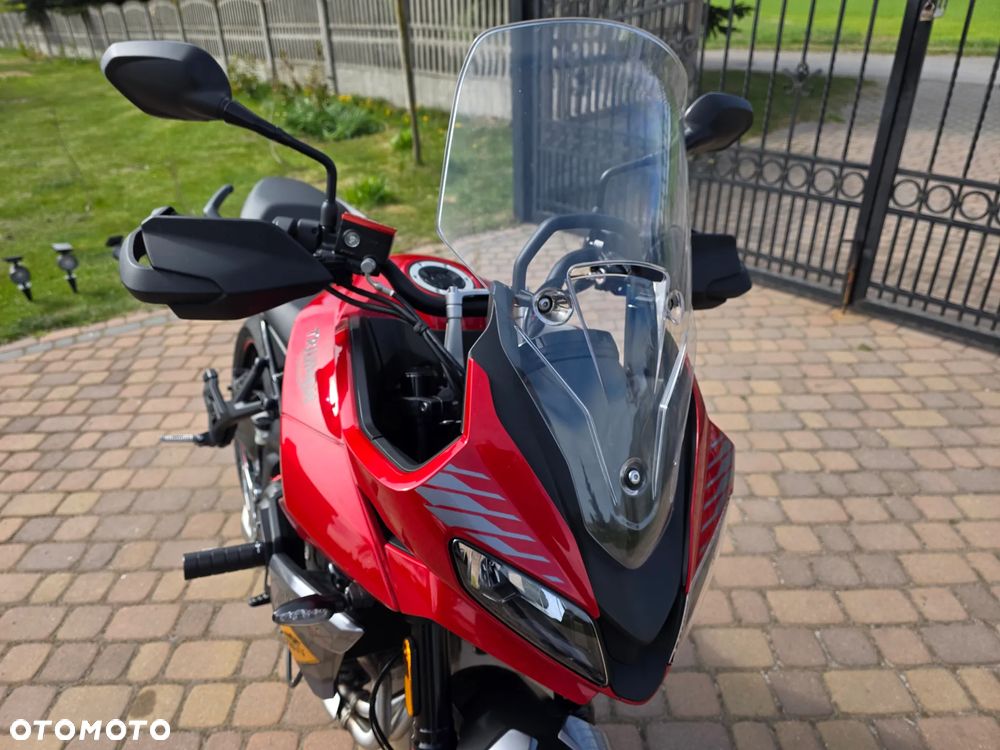 Triumph Tiger - 8