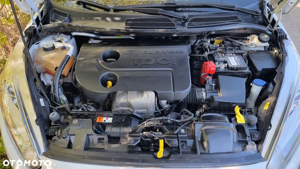 Ford Fiesta 1.5 TDCi Ambiente - 15