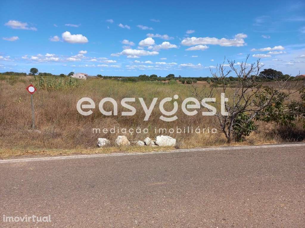 Terreno rústico com boa acessibilidade, com 18920M2 em Almoster - Grande imagem: 2/13