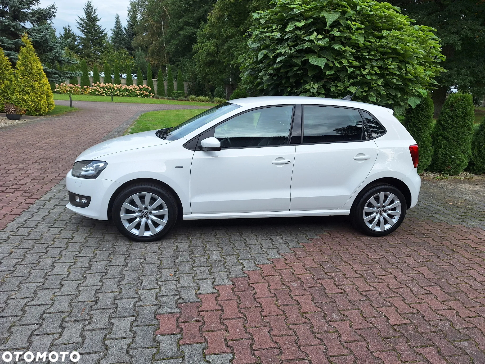 Volkswagen Polo 1.6 TDI Life - 6