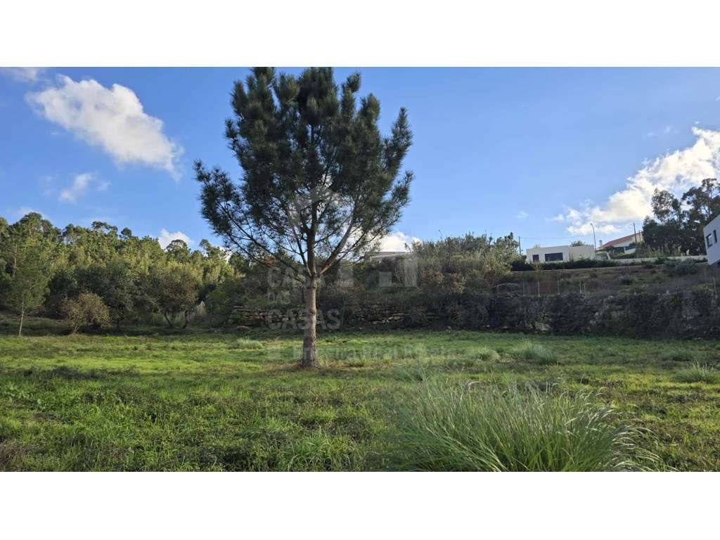 Vende Terreno - Ericeira 6 km, A Casa das Casas - Grande imagem: 4/9